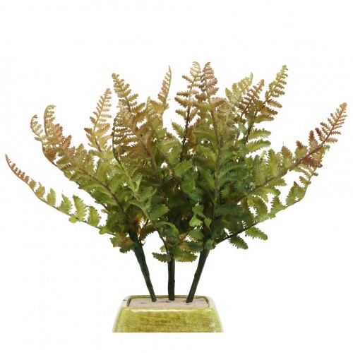 Floristik24 Felce artificiale pianta artificiale felce ramo decorativo 36 cm 3 pz