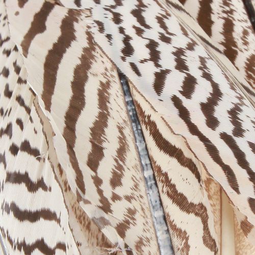 Prodotto Piume di fagiano per artigianato marrone beige naturale 20 cm 20 pezzi