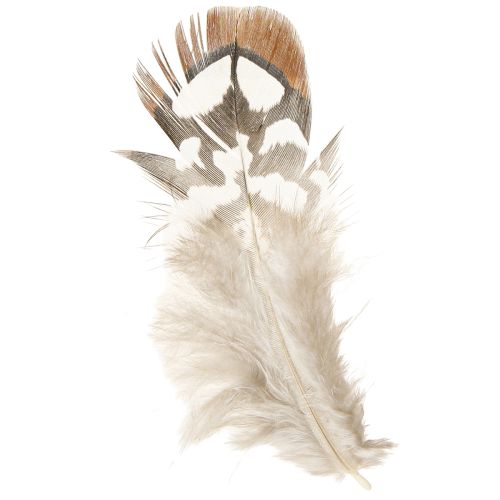 Prodotto Piume di fagiano per artigianato, marrone maculato, 4-9 cm, 60 pezzi