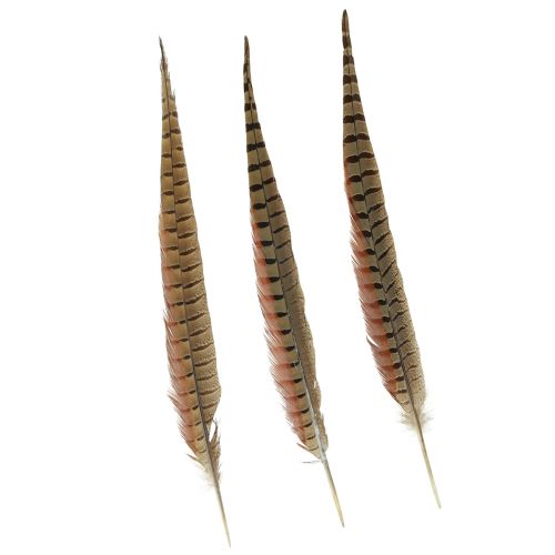 Floristik24 Decorazione Piume Di Fagiano Piume Vere Naturali 40cm 9 pz