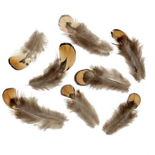 Mix di piume naturali 12g