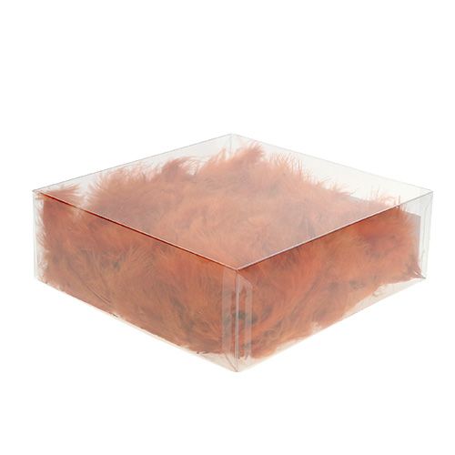 Floristik24 Primavera corta arancione scuro 30g