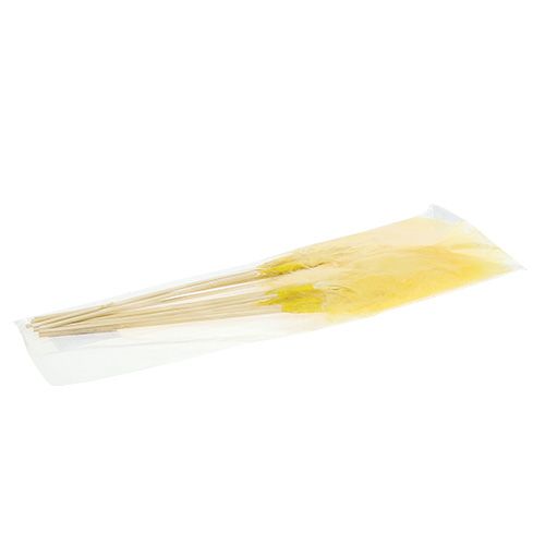 Floristik24 Molla su stick L 30cm Giallo 12pz