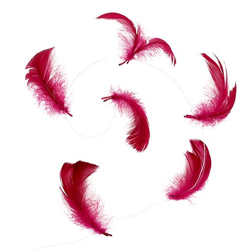 Floristik24 Primavera su filo Erika 10m