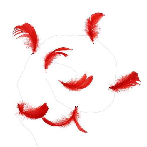 Floristik24 Piume su filo Rosso 10m
