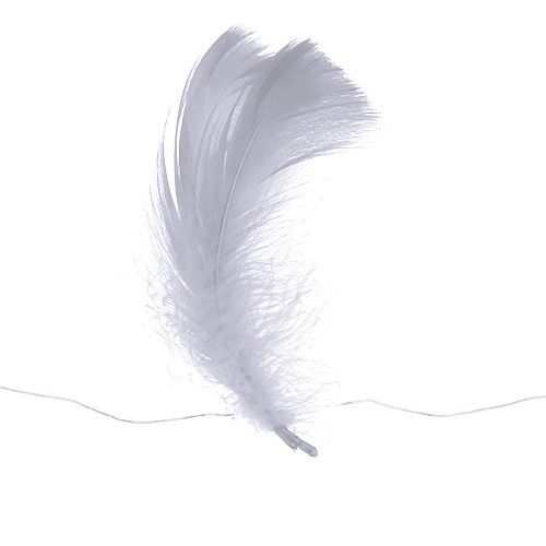 Floristik24 Molla su filo Bianco 10m