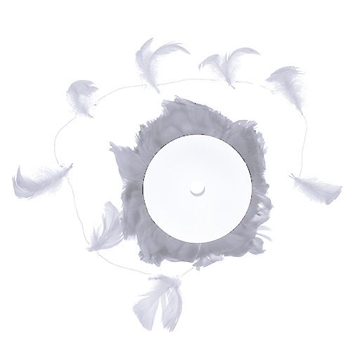 Floristik24 Molla su filo Bianco 10m