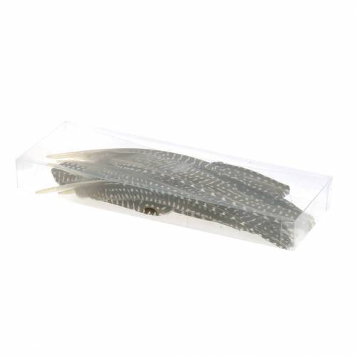 Floristik24 Piume naturali 18-24 cm 10 g