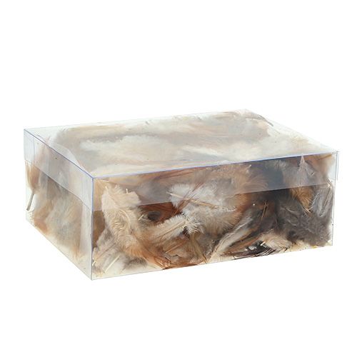 Floristik24 Sorta di piuma. 5-15 cm natura 228 pezzi