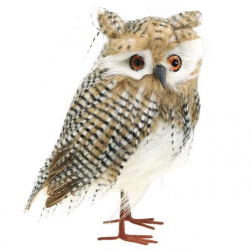 Prodotto Gufo decorativo, autunno, animale della foresta, decorazione invernale H27cm