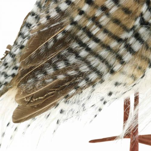 Prodotto Gufo decorativo, autunno, animale della foresta, decorazione invernale H27cm