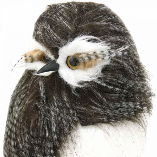 Floristik24 Gufo della foresta, decorazione invernale, gufo decorativo, autunno H41cm