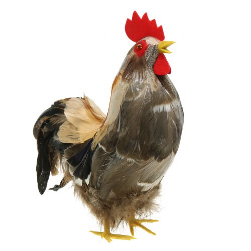 Prodotto Gallo e gallina con decorazione pasquale con piume naturali H26cm set di 2