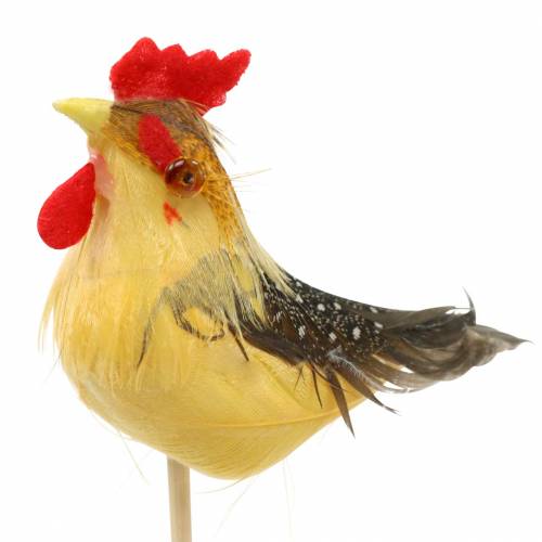 Floristik24 Gallo con piume vere sul bastone arancione, giallo, marrone assortiti H5-6 cm 12 pz