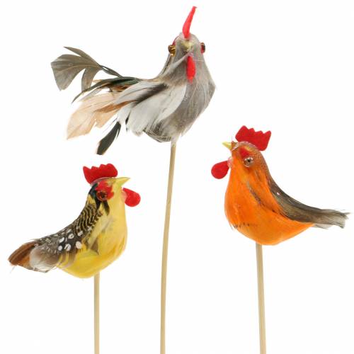 Floristik24 Gallo con piume vere sul bastone arancione, giallo, marrone assortiti H5-6 cm 12 pz