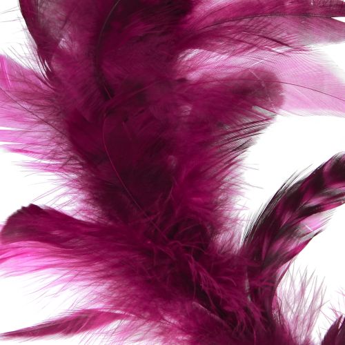 Prodotto Ghirlanda di piume decorazione di piume bordeaux piume di fagiano Ø20cm 3 pz