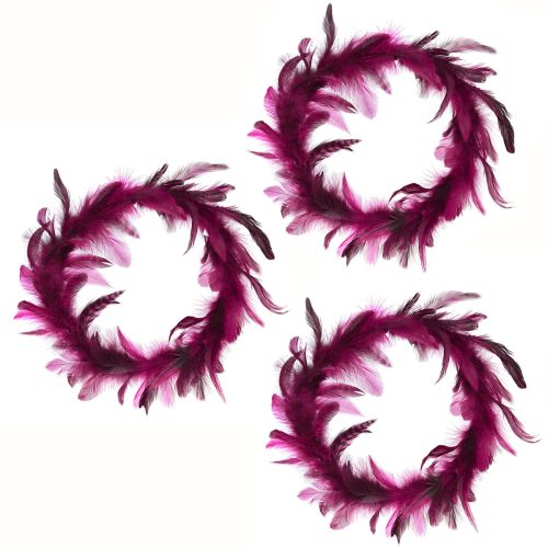 Prodotto Ghirlanda di piume decorazione di piume bordeaux piume di fagiano Ø20cm 3 pz