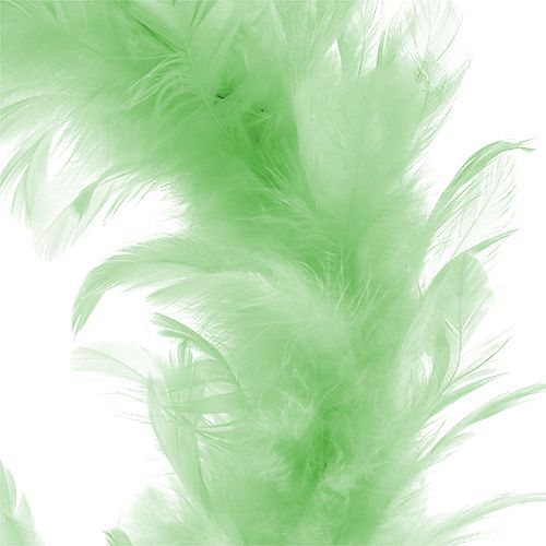 Prodotto Ghirlanda di piume Verde chiaro Ø15cm 4pezzi