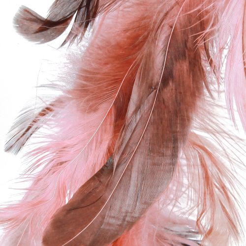 Prodotto Ghirlanda di piume realizzata con decorazione di piume di fagiano in rosa Ø20 cm 3 pezzi