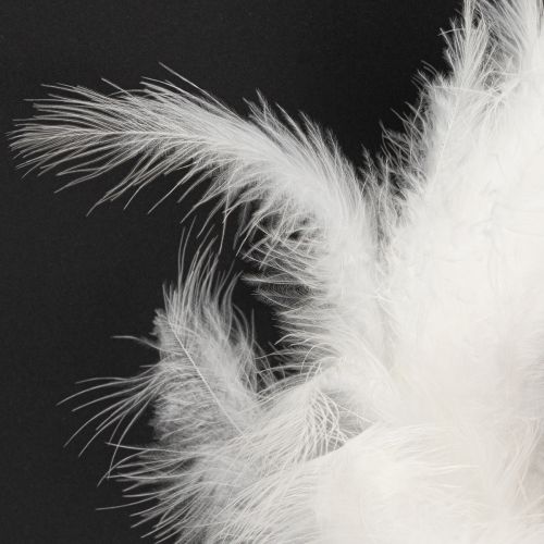 Prodotto Ghirlanda di piume ideale per decorazioni nuziali e decorazioni pasquali suggestive da 20 cm