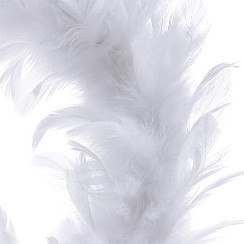 Floristik24 Ghirlanda di piume Ø15cm bianco 4 pezzi