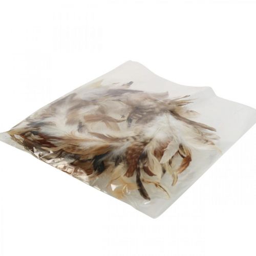 Prodotto Ghirlanda di piume piume decorative decorazione pasquale naturale Ø15cm 4 pz