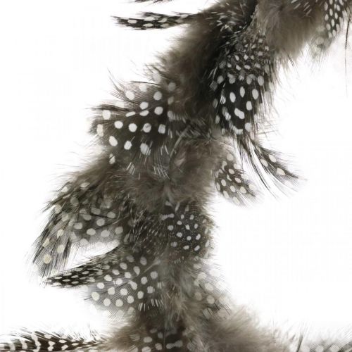 Floristik24 Corona decorativa di piume di faraona Corona di piume vere Ø20cm 3 pezzi