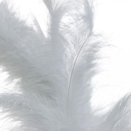 Corona Di Piume Bianco Ø20cm Corona Decorativa Primavera Piume Vere 3pz
