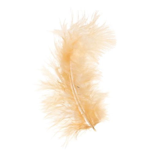 Prodotto Piume arancioni per lavoretti pasquali primaverili 5-10 cm 20 g