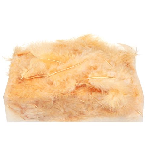 Prodotto Piume arancioni per lavoretti pasquali primaverili 5-10 cm 20 g