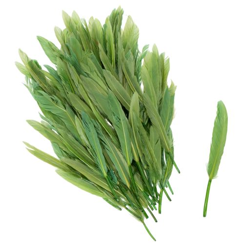 Piume decorative per un ambiente elegante e decorazioni d'effetto 10 cm