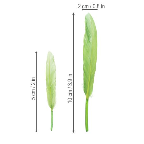 Prodotto Piume decorative per un ambiente elegante e decorazioni d'effetto 10 cm