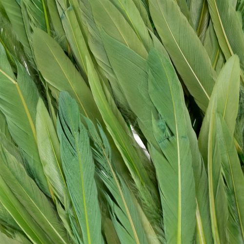 Prodotto Piume decorative per un ambiente elegante e decorazioni d'effetto 10 cm