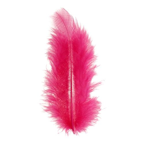 Floristik24 Piume corte 30g Fucsia