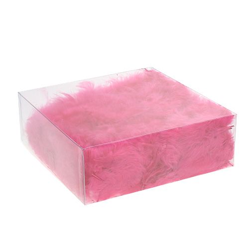 Floristik24 Piume corte 30g Fucsia
