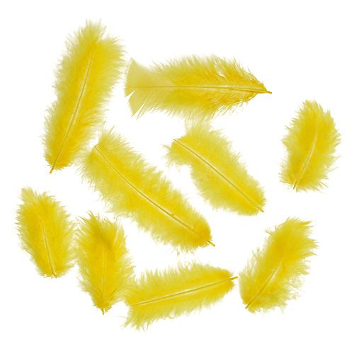 Floristik24 Piume 30g giallo dorato