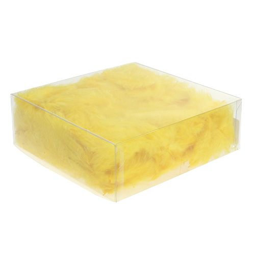 Floristik24 Piume 30g giallo dorato