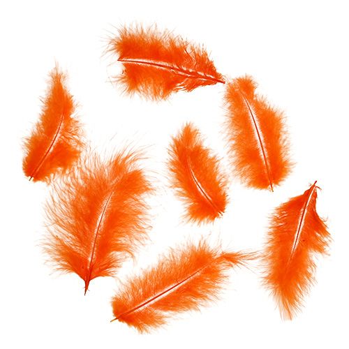 Prodotto Piume corte 30g Arancione