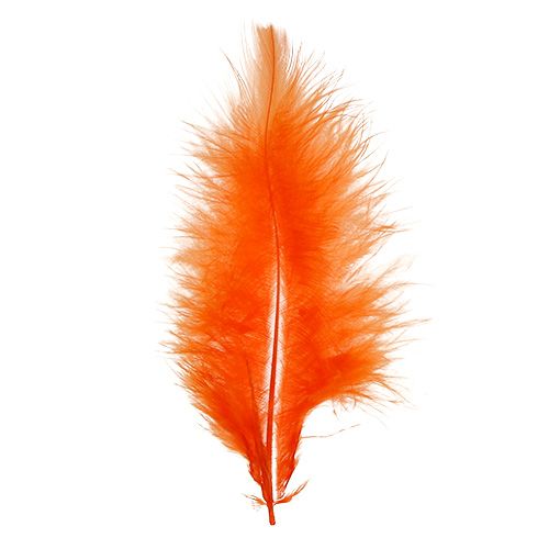 Prodotto Piume corte 30g Arancione
