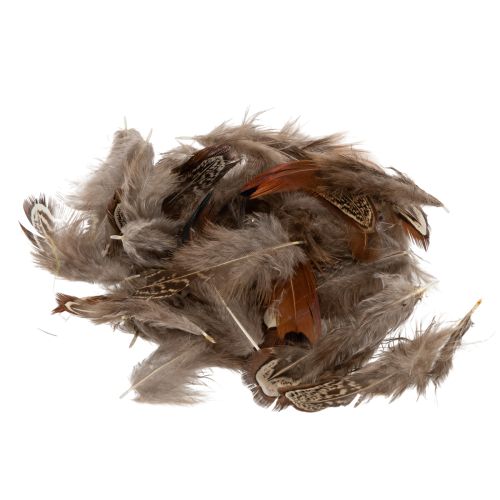 Floristik24 Piume per idee artigianali versatili, design creativo e idee decorative, 5 cm, 3 g