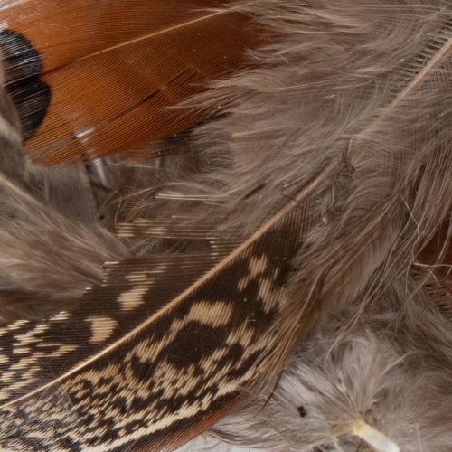 Prodotto Piume per idee artigianali versatili, design creativo e idee decorative, 5 cm, 3 g