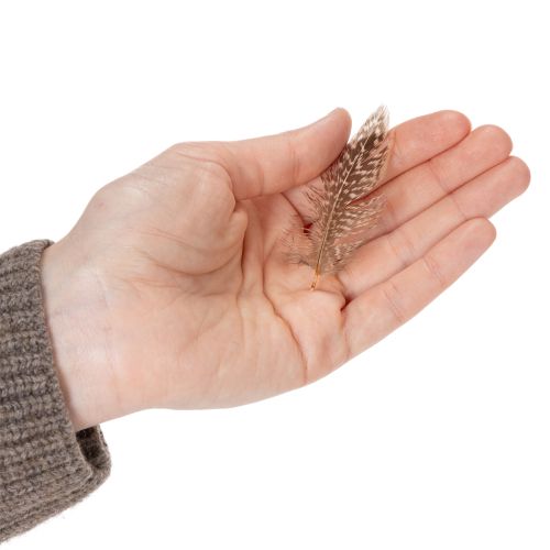 Prodotto Piume per idee artigianali versatili, design creativo e idee decorative, 5 cm, 3 g