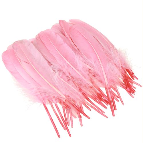 Prodotto Piume per l&#39;artigianato Piume d&#39;oca rosa 18 cm - 20 cm 20 g x 2 pezzi