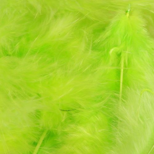 Prodotto Piume per lavorazione con decorazione di piume verde chiaro 5-10 cm 20 g