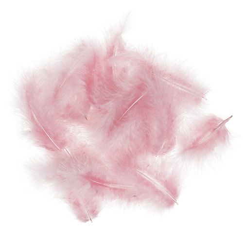 Floristik24 Piume corte 30g rosa