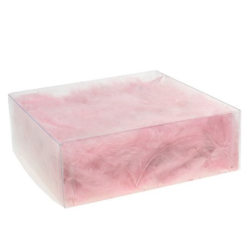 Floristik24 Piume corte 30g rosa