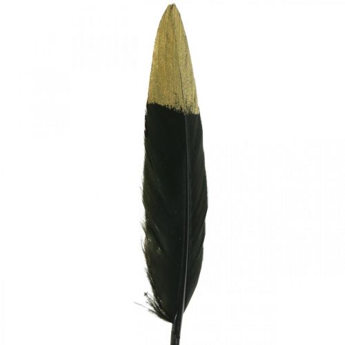 Prodotto Piume decorative nere, piume vere dorate per l&#39;artigianato 12-14 cm 72 pezzi