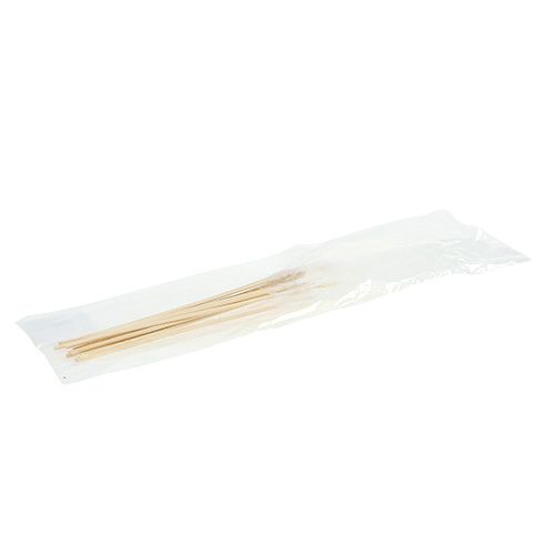 Floristik24 Piuma su bastoncino Bianco L35cm 12 pezzi