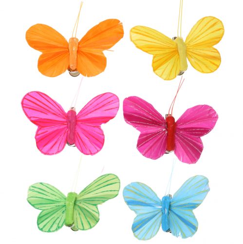 Floristik24 Farfalla piuma su clip colorata 6 cm 12 pezzi