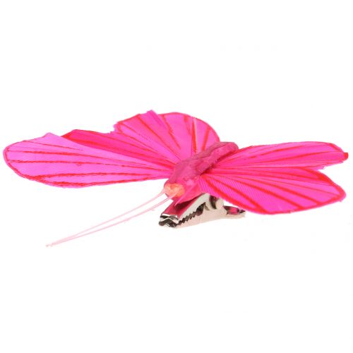 Floristik24 Farfalla piuma su clip colorata 6 cm 12 pezzi